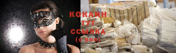 метадон Няндома