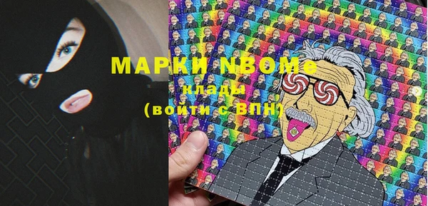 метадон Няндома
